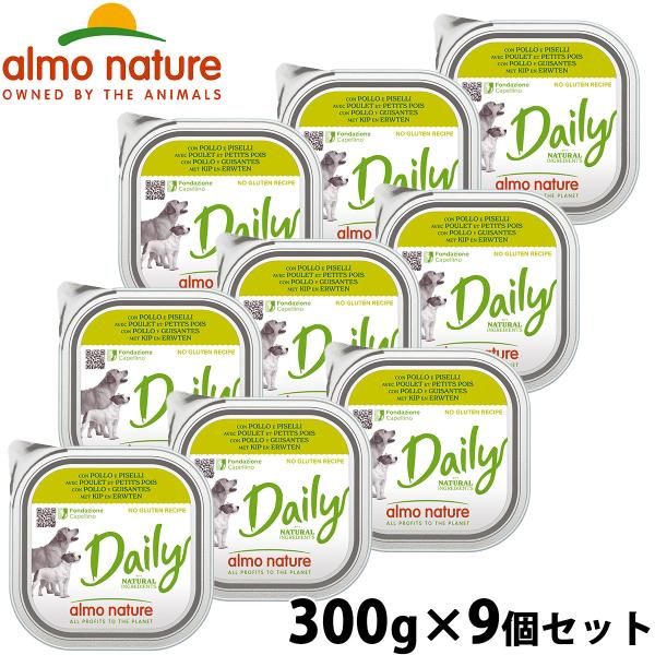 デイリーメニュー チキンとエンドウ豆入りお肉のご馳走