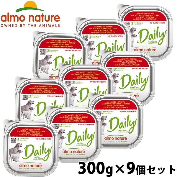 デイリーメニュー 牛肉とポテト入りお肉のご馳走