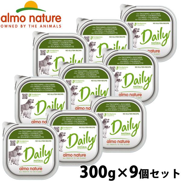 デイリーメニュー 七面鳥とズッキーニ入りお肉のご馳走