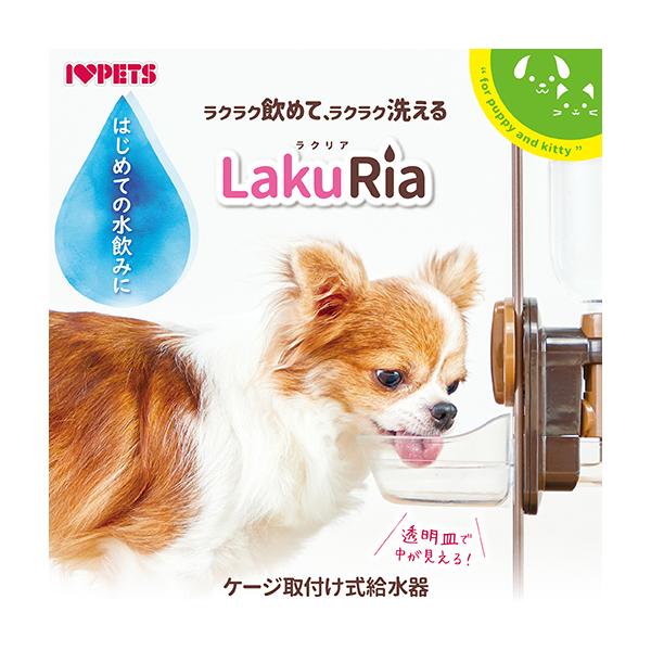 {r NA M uE @ ȒP M^Cv ybg{gp