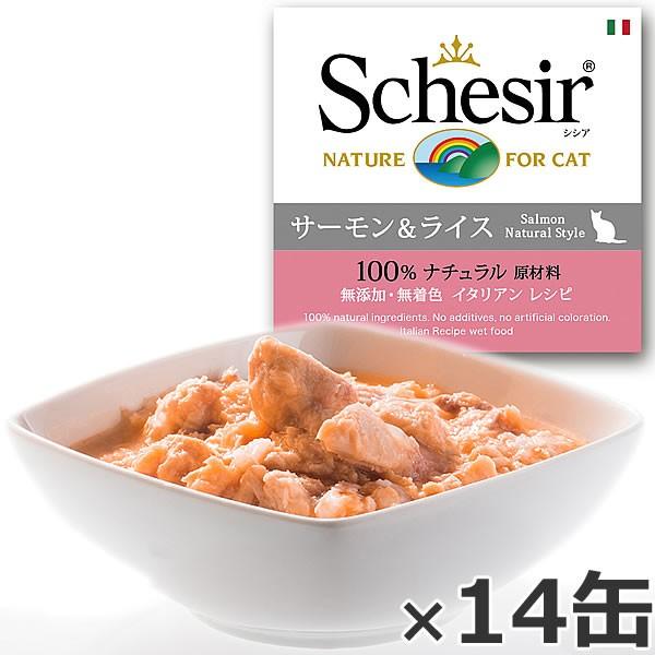 VVA NbLOEH[^[^Cv T[ 85g×14