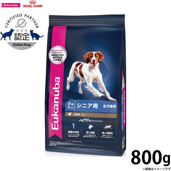 ユーカヌバ Eukanuba ドッグフード シニア ラム&ライス シニア用 全犬種用 7歳以上 800g