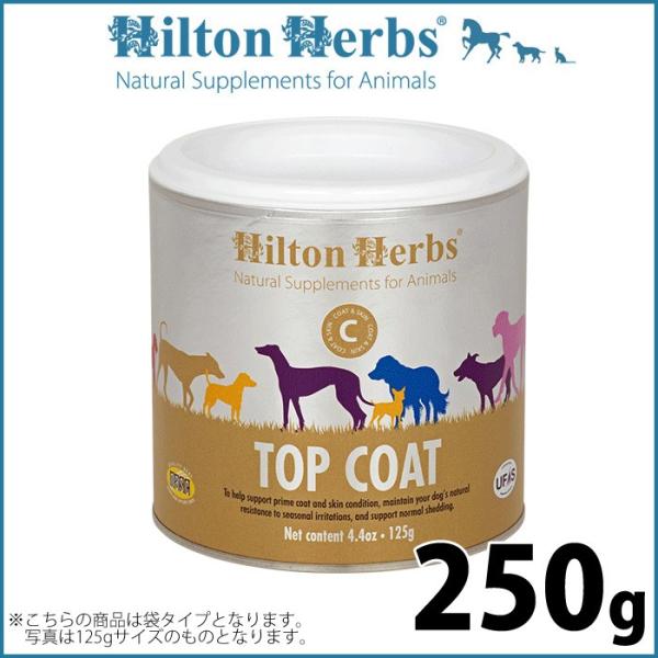 qgn[u gbvR[g 250giqgn[u Tvg Y n[uj