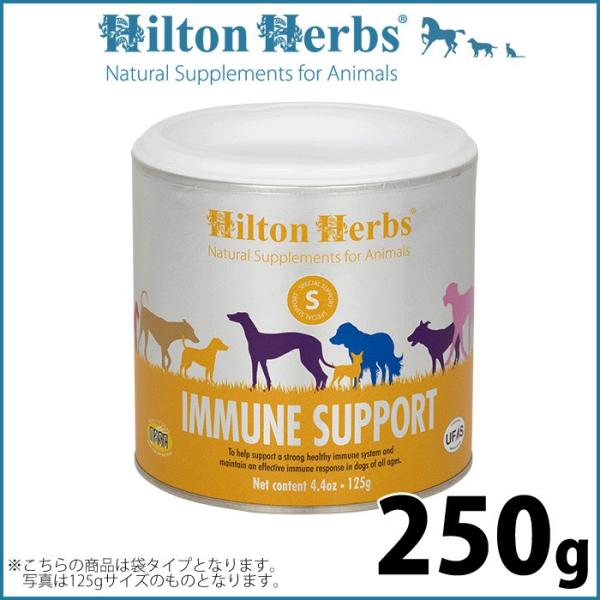 qgn[u C~jeB vX 250giqgn[u Tvg Y n[uj