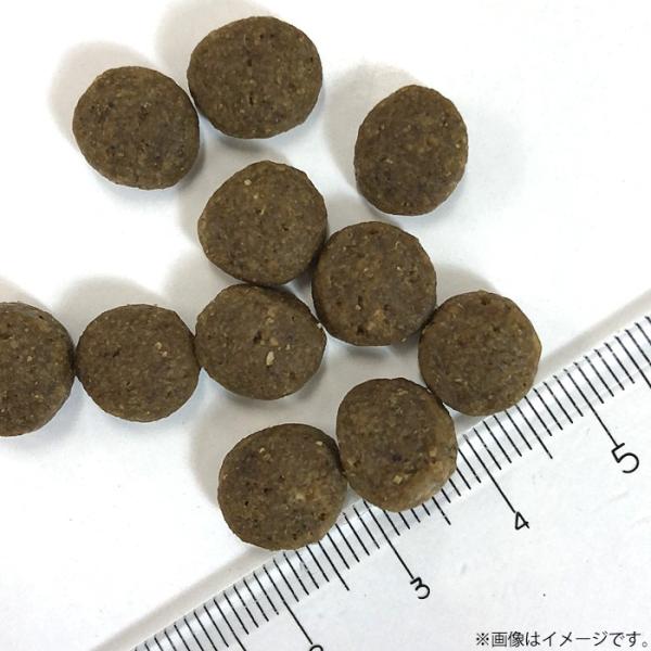店内ポイント最大24倍 ニュートロ ワイルドレシピ 超小型犬 小型犬用 成犬用 ラム 4kg 穀物不使用 無添加 Buyee Buyee 提供一站式最全面最專業現地yahoo Japan拍賣代bid代拍代購服務 Bot Online
