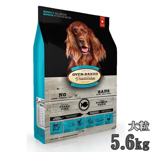 オーブンベークド　トラディション　フィッシュ大粒　5.6ｋｇドッグフード　正規品 DRS.CHOICE（ドクターズチョイス） オーブンベイクド トラディション