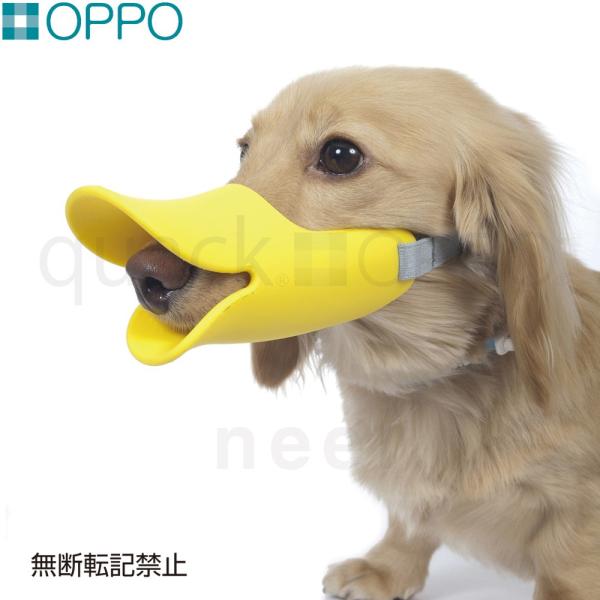 OPPO quackiNAbNj MTCY pi ցi݂ ʖih~j/GUxXJ[
