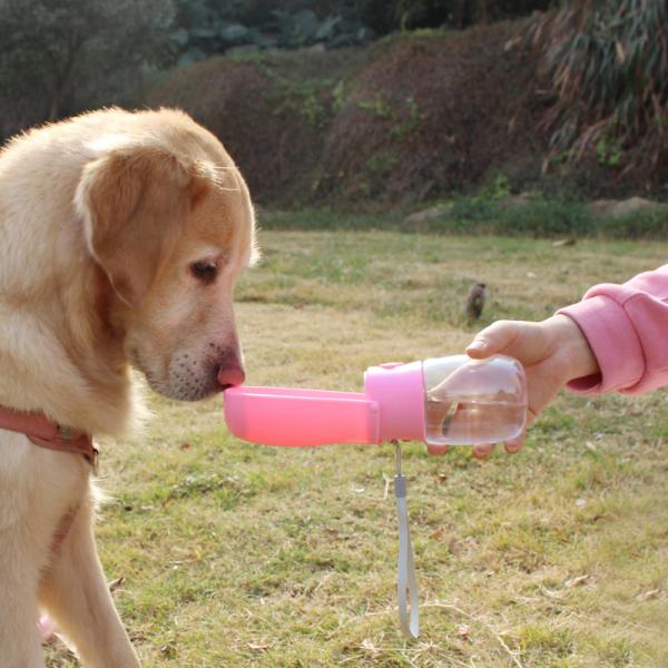 Petifam yeBt@[ ܂肽݃|[^uEH[^[{g sN 280ml    g U