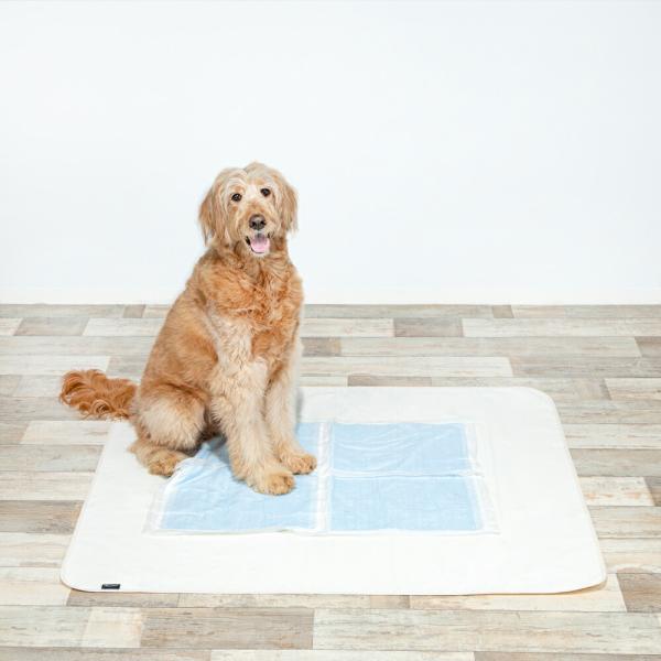 HappyDays 洗える消臭防水シート Lサイズ ハッピーデイズ HappyDays 洗える消臭防水シート L 犬 猫 消臭 抗菌