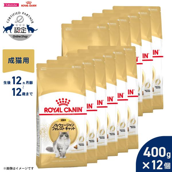 ロイヤルカナン（ROYAL CANIN） 猫 キャットフード ノルウェージャン