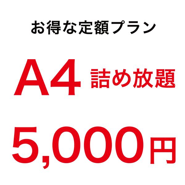 アクリル印刷　詰め放題 定額5000円 A4サイズ 3mm透明アクリル内に詰め放題、切り放題。お好きなデザインで印刷できます。アクキーづくりに！