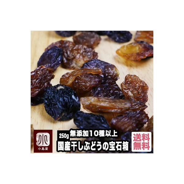 hCt[c [Y Y Ԃǂ  Δ 250g Y 10ވȏ  ͓ ~bNX[Y Ƃꂽ ֐er Je 