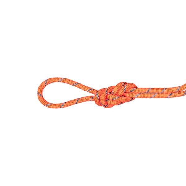 MAMMUT マムート  / 7.5 アルパイン センダー ドライ ロープ 50m / カラー：3787（fire-blue） / 7.5 Alpine Sender Dry Rope 50m 2010-05480_3787