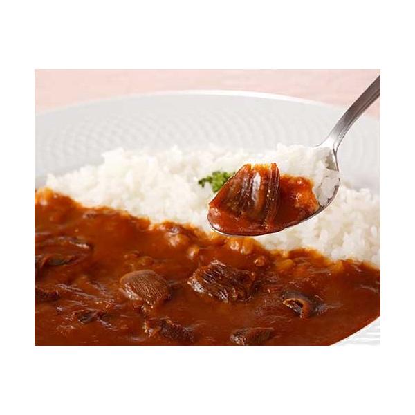 ふかひれカレー｜kojuken｜02