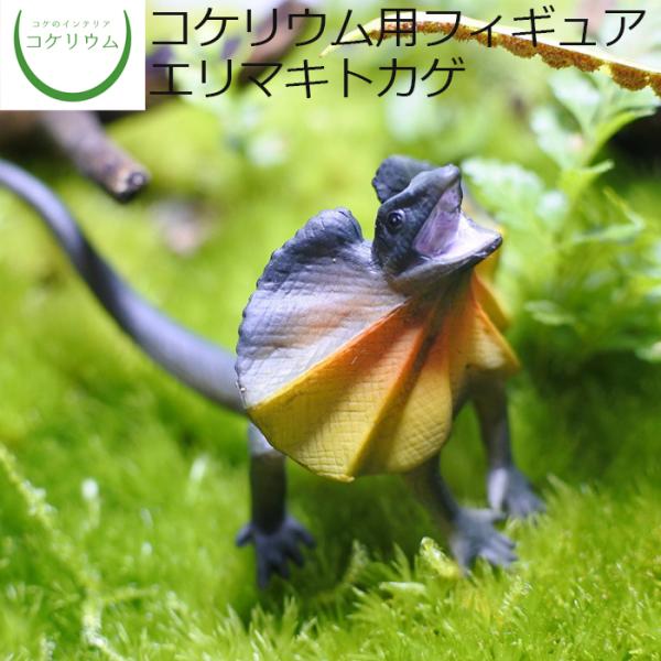 観葉植物 おしゃれ ミニ テラリウム フィギュア コケリウム 苔 コケ 苔テラリウム 苔リウム アクアリウム インテリア) コケリウムフィギュア エリマキトカゲ :10000613:コケのインテリア コケリウム - 通販 - Yahoo!ショッピング 観葉植物 おしゃれ ミニ テラリウム フィギュア コケリウム 苔 コケ 苔テラリウム 苔リウム アクアリウム インテリア) コケリウムフィギュア エリマキトカゲ :10000613:コケのインテリア コケリウム - 通販 - Yahoo!ショッピング