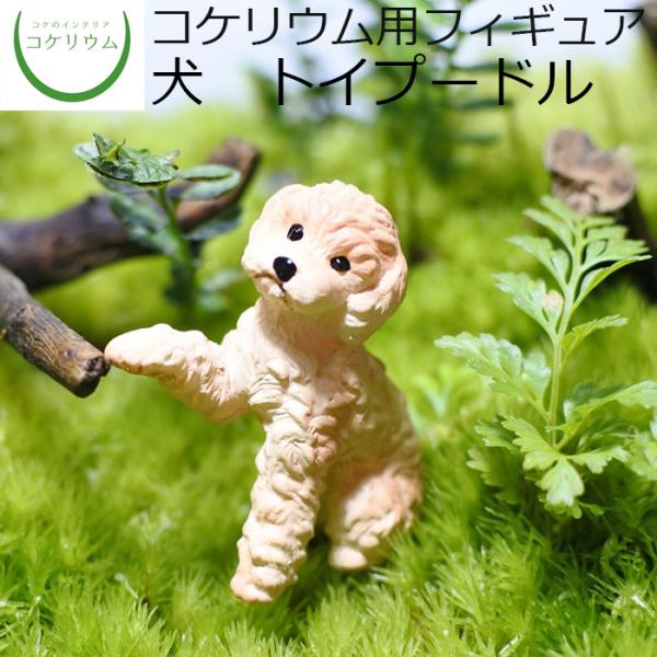 苔テラリウム　シングル、ダブル、ロボット兵＆恐竜フィギュア我が家の小さなオアシス 苔テラリウム ロボット兵 シングル、 ダブルセット 心癒す我が家の