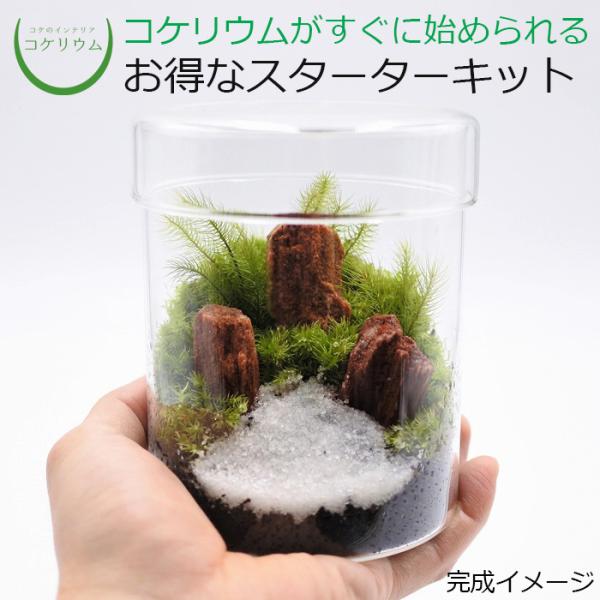 可愛すぎるお家4軒セット❤️インテリア置物❤️苔テラリウムなどに スターターキット】苔テラリウム かわいいSサイズ 川砂 10cm LED