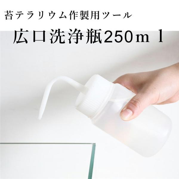 苔テラリウム作製時の水入れや、ミニ盆栽などの水やりに便利です。【サイズ】直径60ｘｈ180ｍｍ（ノズル上部まで）【内容量】250ｍｌ【素材】ポリエチレン