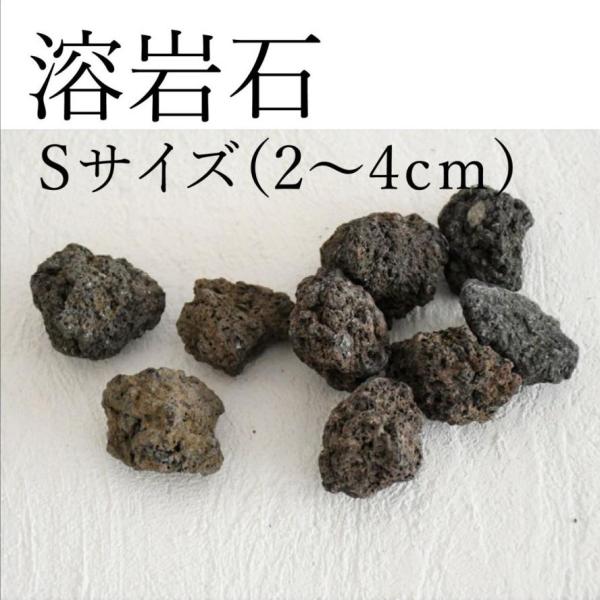 【苔テラリウムレイアウト用・着生用】苔テラリウムのレイアウトに便利な溶岩石。溶岩石はコケの仮根が活着しやすいので、着生させることも可能です。【内容量】５〜８個入り　約１００ｇ【大きさ】２〜４ｃｍ・石の形状は一点一点異なります。形状はお任せで...