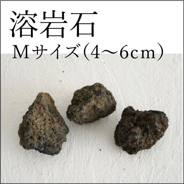 【苔テラリウムレイアウト用・着生用】苔テラリウムのレイアウトに便利な溶岩石。溶岩石はコケの仮根が活着しやすいので、着生させることも可能です。【内容量】２〜３個入り　約２００ｇ【大きさ】４〜６ｃｍ・石の形状は一点一点異なります。形状はお任せで...