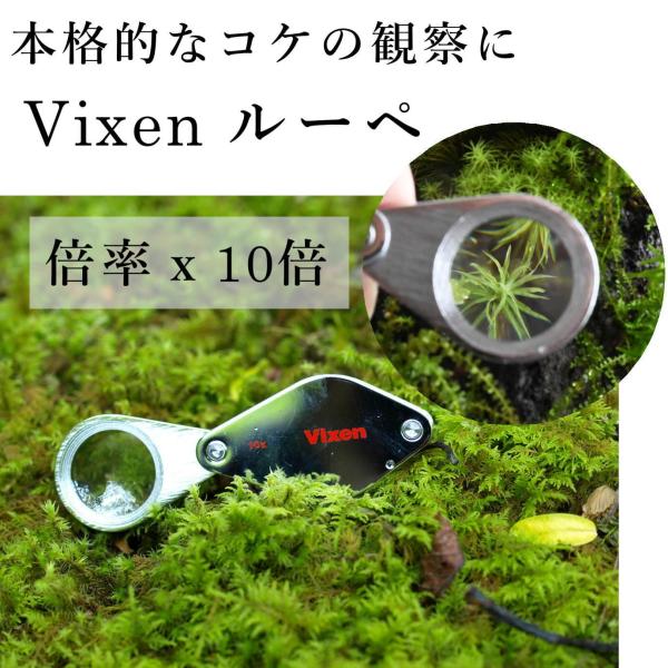 コケ観察に最適のルーペです。野外観察はもちろん、室内で育てているコケもルーペで観察すると魅力が１０倍に広がります。メタルフォルダータイプなので、レンズに傷がつきにくく、持ち運びも安心。双眼鏡や望遠鏡を作っているVixenブランドはクオリティ...