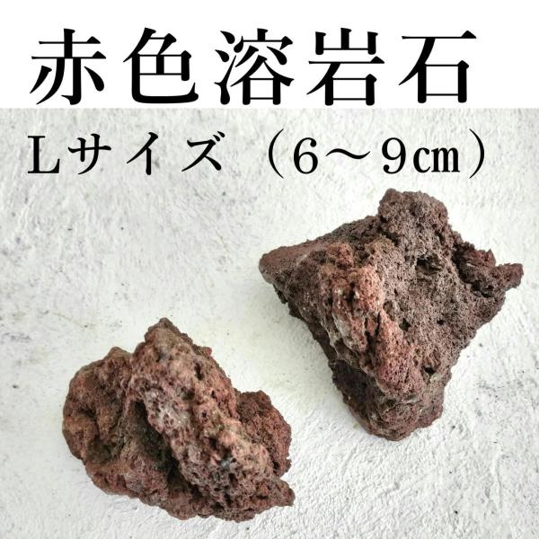【苔テラリウムレイアウト・着生用】赤色の強い溶岩石です。空洞が多く軽いので扱いやすく、水を含みやすいことから、コケの着生に適しています。【サイズ】6〜9cm　2個入り●天然石のため、大きさ・形状はお任せになります。
