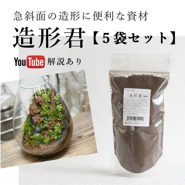 ★めまさんさま専用★【源流苔№740】テラリウム用苔セット（5種9P） チャーム（ペット） （テラリウム）苔 テラ向け ミニ流木3種