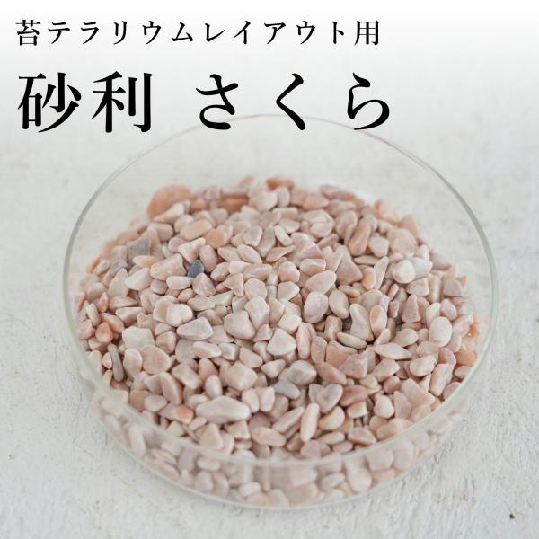 砂利 さくら（ 1〜5ｍｍ）100ｍｌ入り【苔テラリウムレイアウト用】