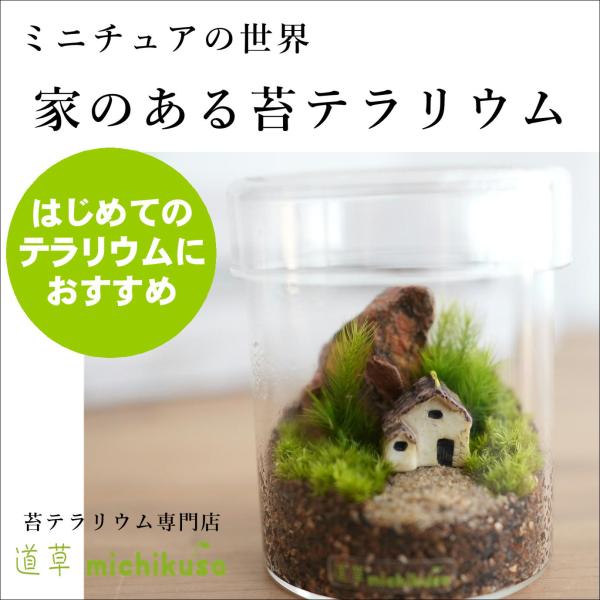 【初心者にも育てやすい苔テラリウム】シリンダー型ガラス容器の中にかわいいフィギュアを配置し、家のある景色を作りました。苔の森に住む妖精たちの家をイメージしたメルヘンな作品です。　・容器サイズ：直径72ｍｍ　ｘ　高さ85ｍｍ・容器素材：ガラス...