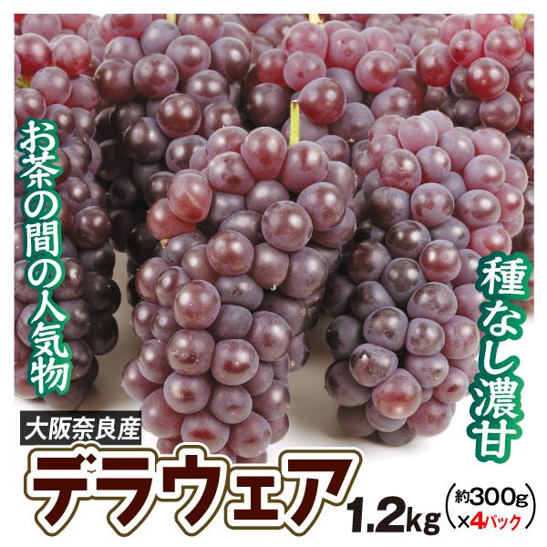 ぶどう 約1.2kg デラウェア 大阪・奈良産 種なしブドウ (約300g