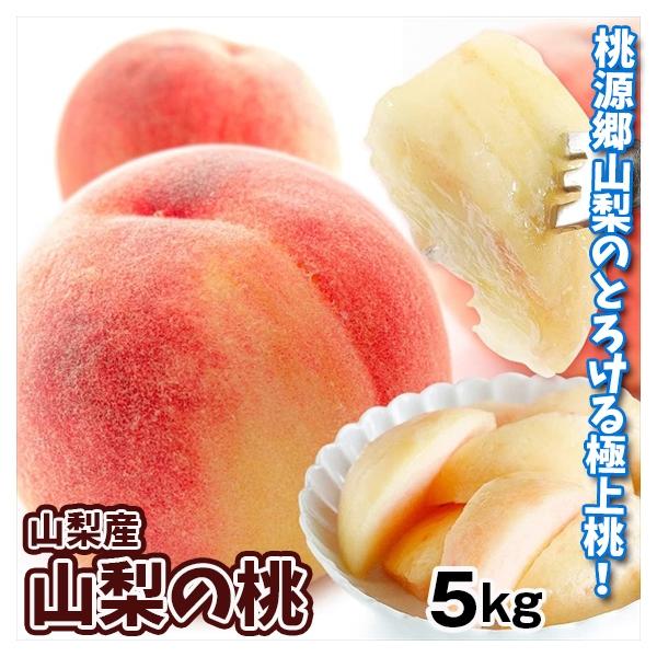 もも 5kg ご家庭用 山梨の桃 山梨産 送料無料 食品