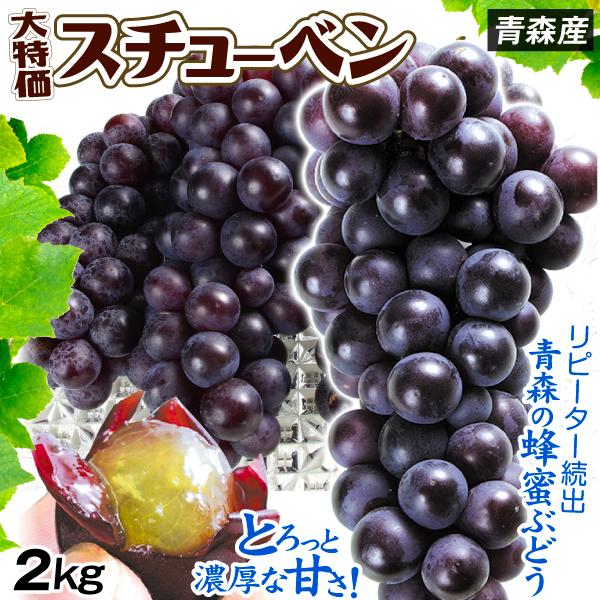 ぶどう 2kg スチューベン 青森産 蜂蜜ぶどう 津軽 冷温貯蔵 中粒 送料無料 食品