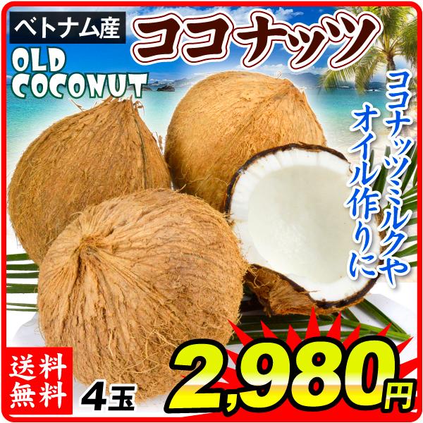 ココナッツ ベトナム産 4玉 オールドココナッツ 南国 送料無料 食品