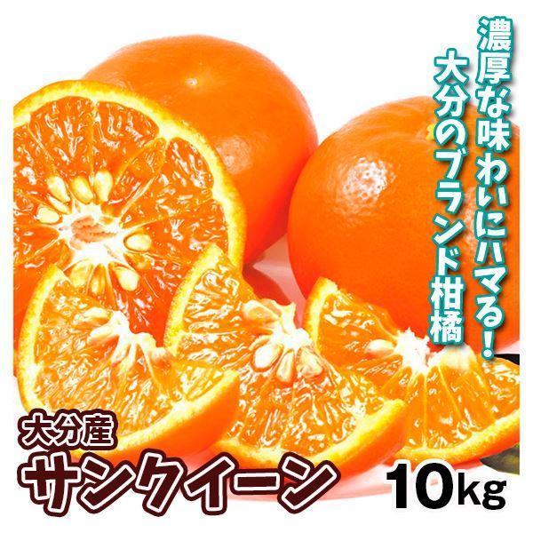 みかん 10kg サンクイーン 大分産 ブランド セミノール 柑橘 果物