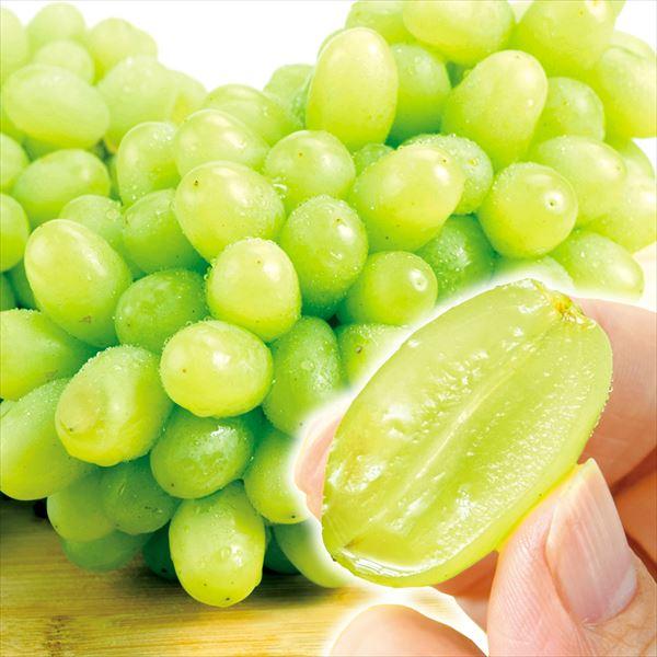 トンプソングリーンシードレス