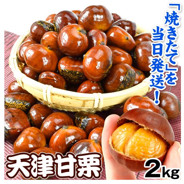 ●商品情報鮮度が命の天津甘栗は、専用の熱した石を使い、昔ながらの方法で一粒一粒焼き上げた日本人に馴染みの定番商品です。出来立ての美味しさを味わって頂くために、当日に焼き上げた商品を鮮度そのままに発送します。●内容量：2kg（1kg×2袋）●...