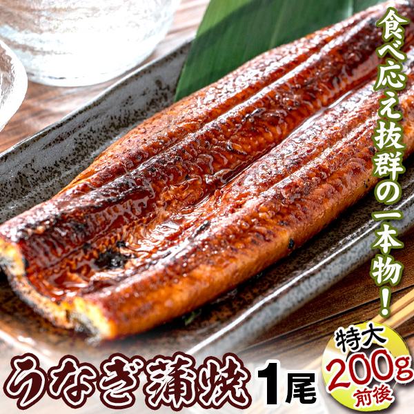 うなぎ 蒲焼 1尾 200〜220g前後 一本物 中国産　無頭 冷凍 食品 国華園