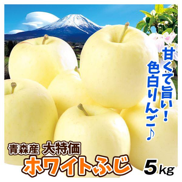 りんご 5kg 青森産 大特価 ホワイトふじ 1箱 ご家庭用 フルーツ 果物
