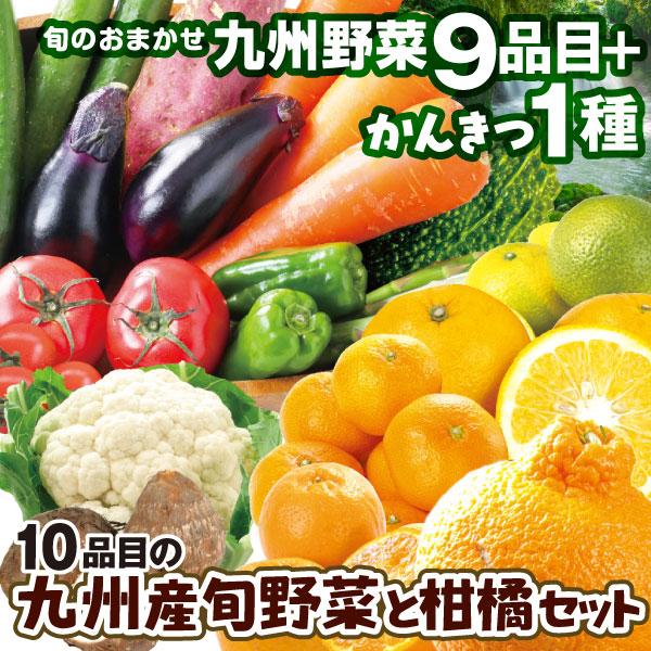 ●商品情報：★12月15日までのご注文（コンビニ決済の場合はご入金）で年内発送★九州各地でとれた定番野菜9種と、その時期旬の柑橘５種類の中から１種選んでお届けします。●産地：九州●規格・サイズ：-●セットの内容例温州みかん・不知火オレンジ・...