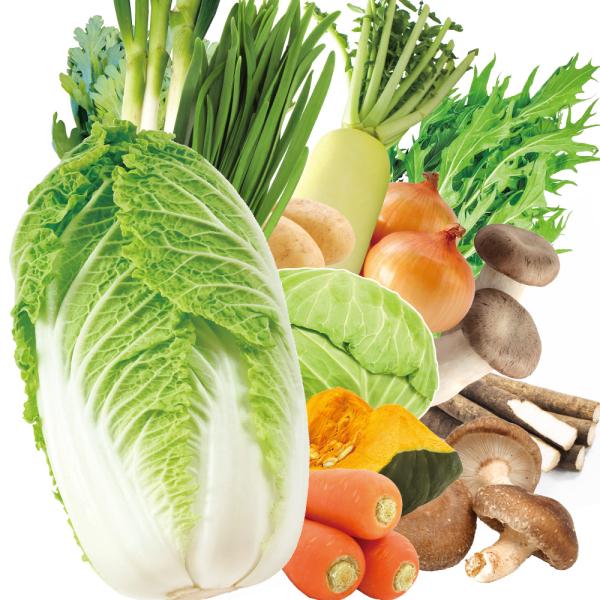 ●商品情報：★12月15日までのご注文（コンビニ決済の場合はご入金）で年内発送★定番のものから変わり鍋まで。栄養豊富な野菜をたっぷりとれる、鍋料理におすすめの野菜を１０種類お届け！●産地：九州●規格・サイズ：-●セットの内容例：白菜・水菜・...