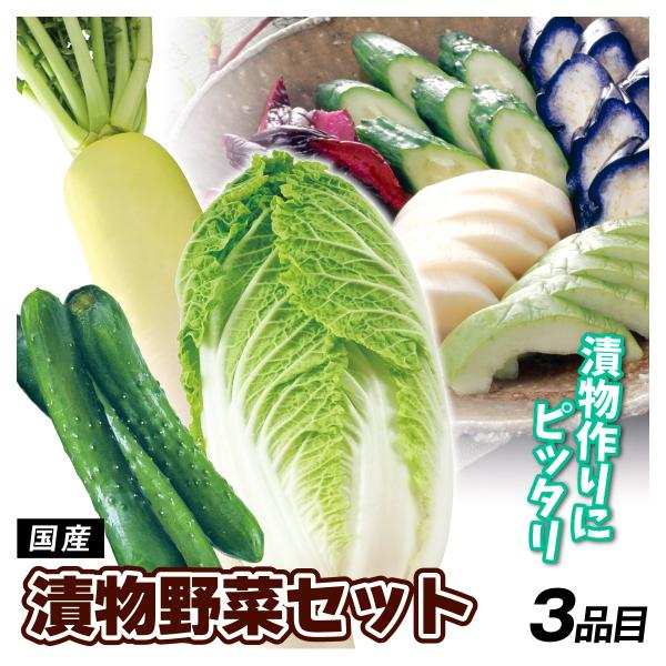 ●商品情報：漬物作りにぴったりな野菜を3種類セットでお届け！●セット内容：きゅうり（3本）・大根（1本）・白菜（1玉）●産地：国産●配送形態：段ボール箱●配送温度：常温便●備考：※画像はイメージです。※ご家庭用・無選別品としてご用意いたしま...