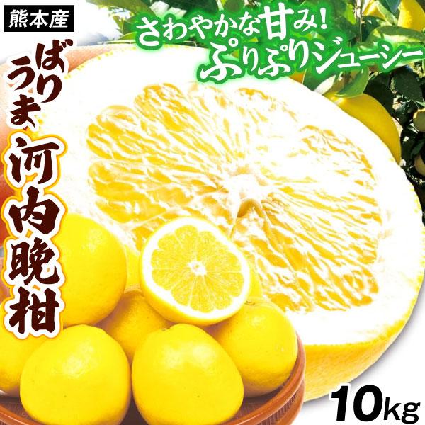 みかん 10kg ばりうま 河内晩柑 熊本産 ご家庭用 和製グレープフルーツ ジューシーオレンジ 柑橘 フルーツ 送料無料 食品