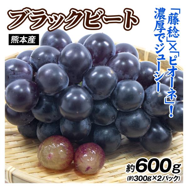 ぶどう 約600g（300g×2パック） ブラックビート  熊本産 送料無料 食品