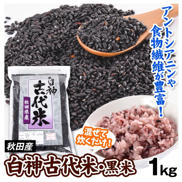 秋田産 白神古代米 1kg 古代米 もち玄米 穀物 送料無料 常温 ポスト投函 加工品 食品