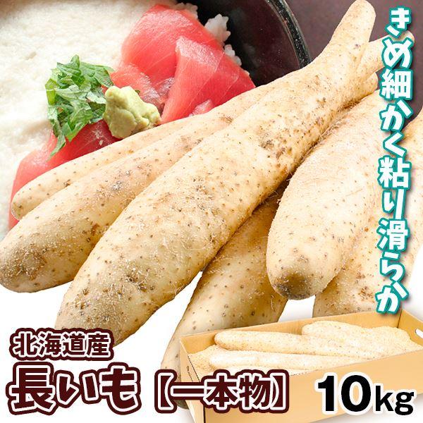 ●商品情報　きめ細かいとろろは滑らかで上品な食感。短冊や天ぷらなどにもおすすめ！●産地　北海道●規格・サイズ　-●入数の目安　10kgあたり10〜15本●配送形態　段ボール箱●配送温度　常温便●備考　※品質保持のため、表面におがくず、または...