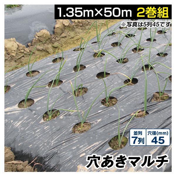 国華園 農業用マルチシート 農ポリ 黒穴あきマルチ 7列45 1.35×50m 2巻組 農用 マルチ マルチング 被覆資材 ポリエチレン 防草 地温上昇