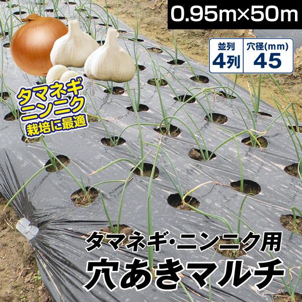 国華園 農業用マルチシート マルチング  農ポリ タマネギ・ニンニク用 穴あきマルチ 4列45 0.95×50m 1巻　厚手 0.03ｍｍ 送料無料 農用 被覆 ポリエチレン