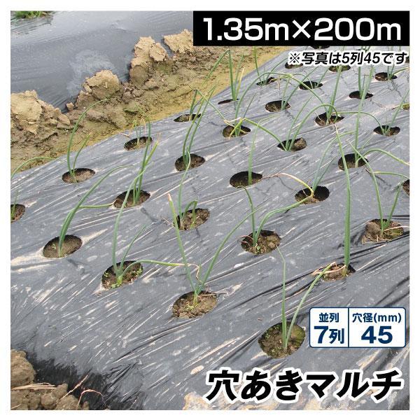 国華園 農業用マルチシート 農ポリ 黒穴あきマルチ7列45 1.35×200ｍ 1巻1組 農用 マルチ マルチング 被覆資材 ポリエチレン