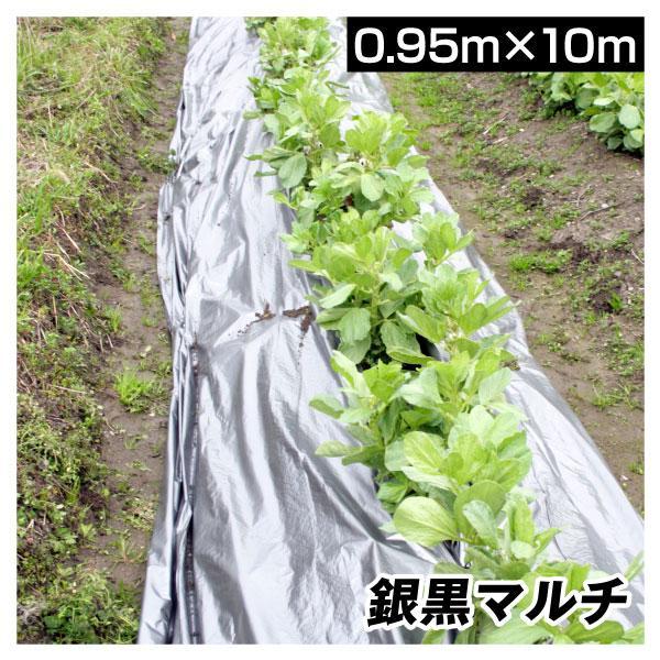 国華園 農業用マルチシート 農ポリ 銀黒マルチ 0.95×10m 1枚1組 少量 使い切り 農用 マルチ マルチング 被覆資材 ポリエチレン