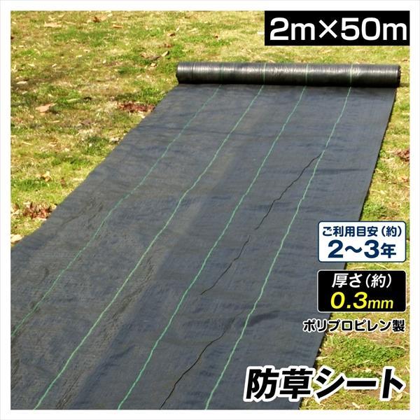 国華園 防草シート 2m×50m 農用シート 除草 雑草 芝生 草 DIY 耐用年数 耐用年数 2-3年 厚さ0.3mm 砂利 芝 人工芝 しっかり雑草防ぐくん